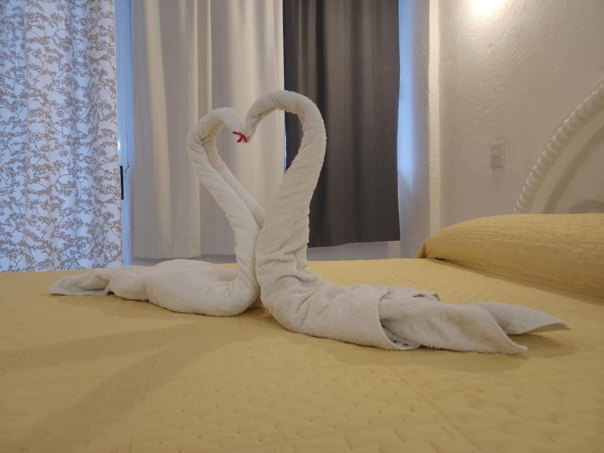 Lovely Studio Apartment With Balcony Ac & Wi-Fi, Minutes From Downtown! Zihuatanejo Ngoại thất bức ảnh